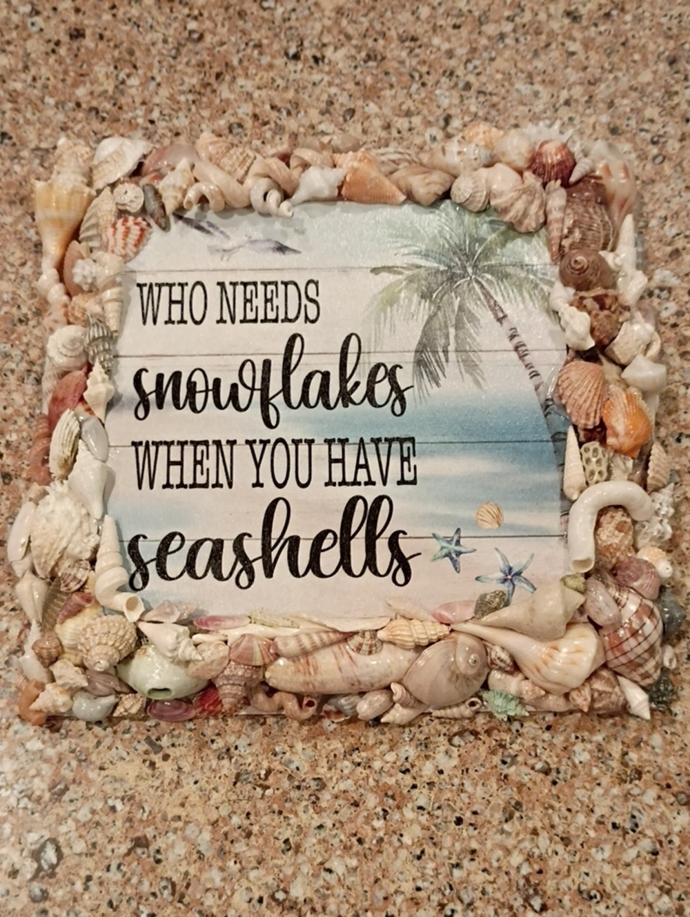 Seashell Wall Plaque - Natural Beige Coastal Decor